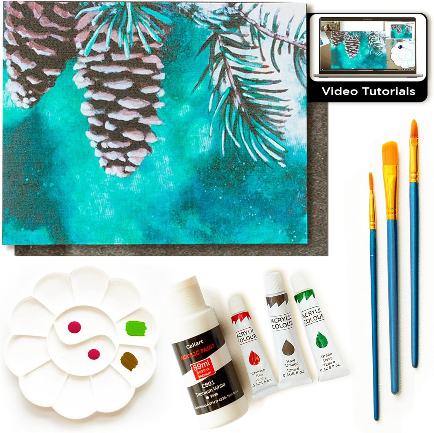 Painting4Rea DI Paintin Clas Ki fo Adult wit Vide Tutorials Lear t Pain Winte Pinecone Ho t Pain wit Acrylic Paintin Ar Supplie  Piec Acryli Pain Set