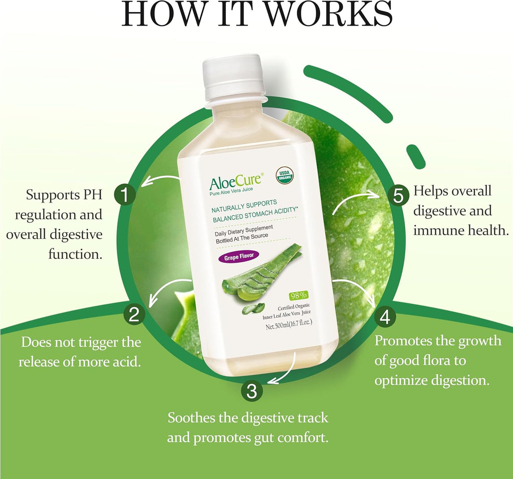 AloeCure USDA Organic Aloe Vera Juice Grape Flavor, Made Within 12 Hours of Harvest - Pure Aloe Vera Digestive & Immune Health Supplement, Helps Maintain Balanced Stomach Acidity, 16.7oz Bottle