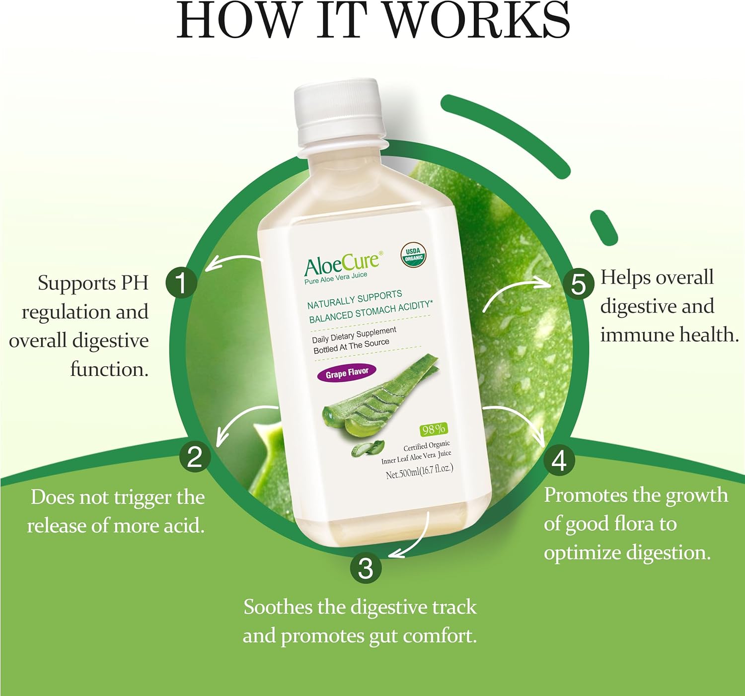 AloeCure USDA Organic Aloe Vera Juice Grape Flavor, Made Within 12 Hours of Harvest - Pure Aloe Vera Digestive & Immune Health Supplement, Helps Maintain Balanced Stomach Acidity, 16.7oz Bottle