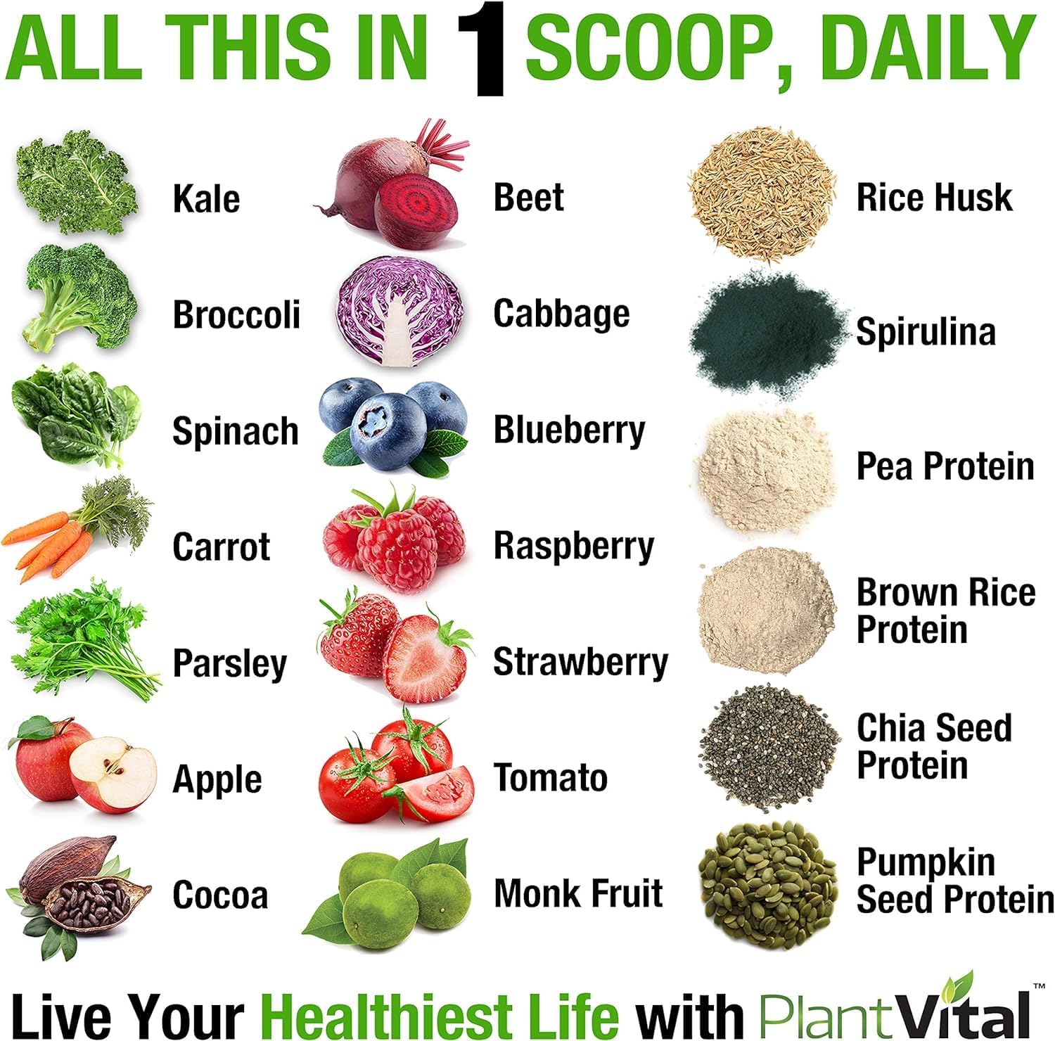 Plantvital Vegan Protein Powder Plant Based, Organic Protein Powder Chocolate 24g/0g Sugar, 12 Superfoods, Veggies, Probiotics, Raw Cocoa, Kale, Beets, Spirulina, Pea, Gluten-Free, Keto-Friendly,16oz