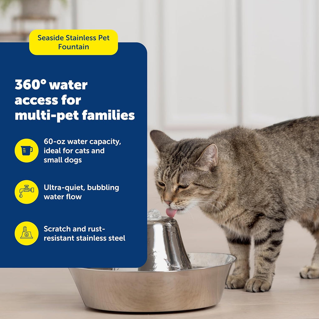 PetSafe Seaside Stainless Pet Fountain - Encourages Hydration - Dual Filtration Removes Odors - Compact Design - Rust Resistant Material - Quiet Motor -