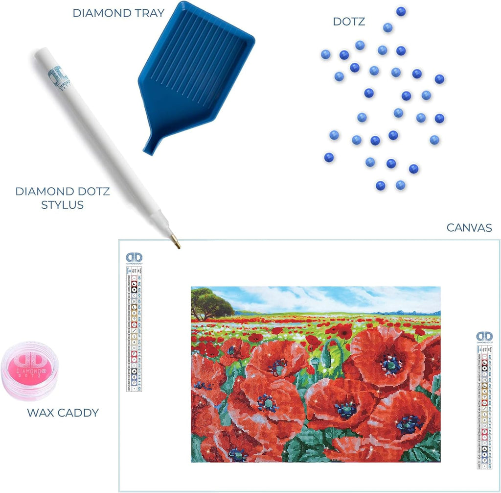DIAMON DOT Re Popp Fiel Flora Diamon Paintin Kit fo Adult Diamon Ar Kit Relaxin Creativ Craf Ki wit Dot Gem 16.5inchx23.6inch