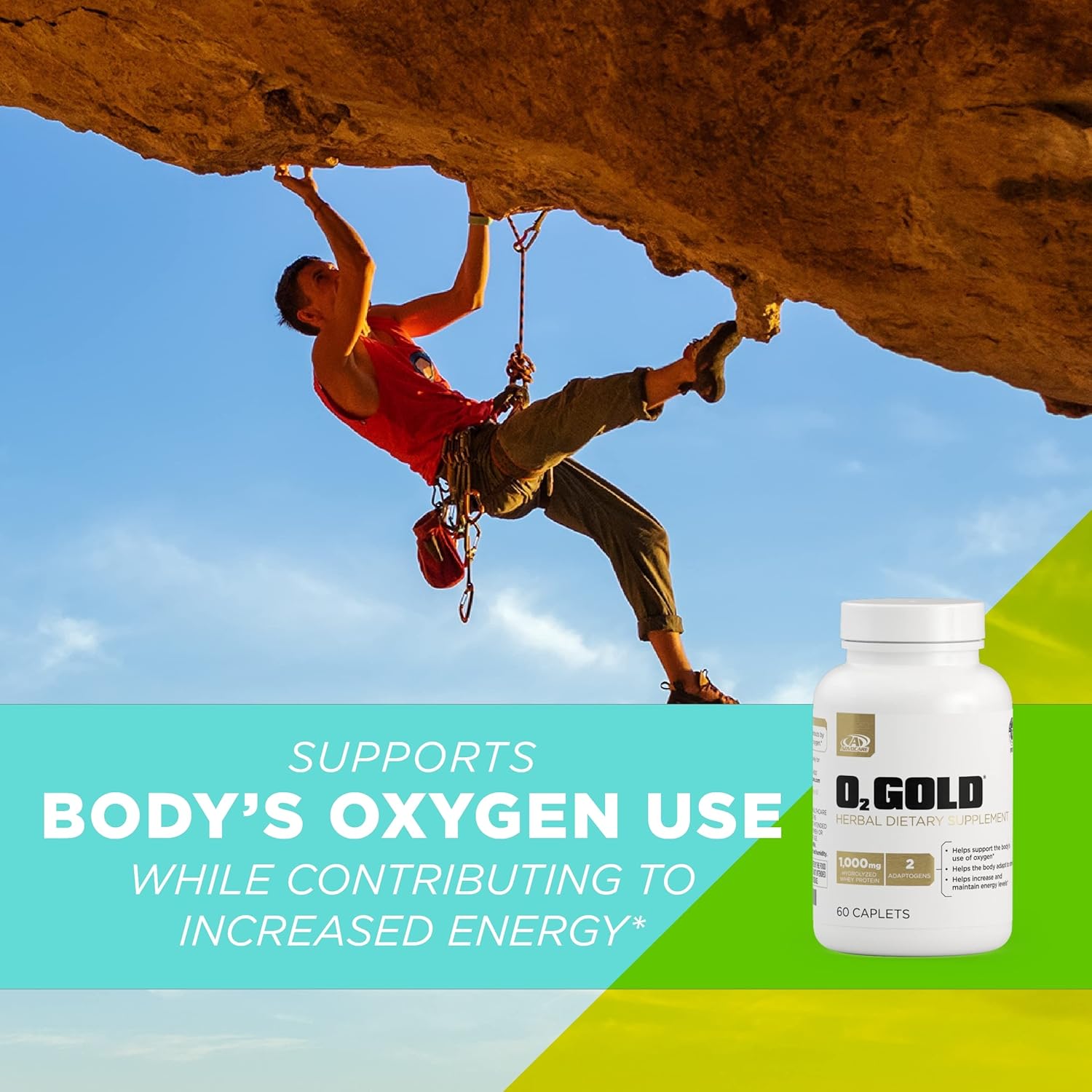 AdvoCar O Gol Bloo Oxyge Supplemen wit Rhodiol Rose Roo Hydrolyze Whe Protei Support Energy 6 Caplets