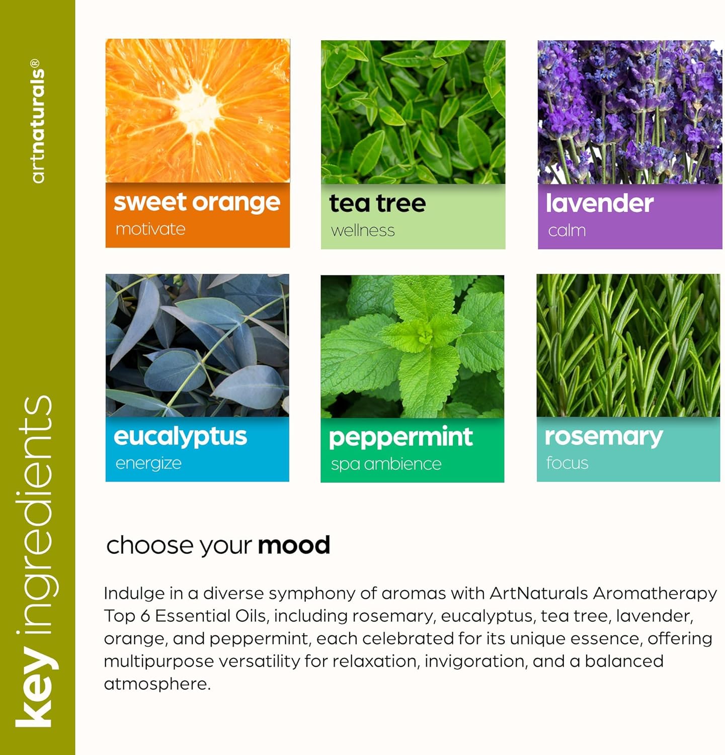 ArtNatural Aromatherap Top- Essentia Oi Se ( 10m Bottles 100 Pur o Th Highes Therapeuti Grad Premiu Gif Se Lavender Peppermint Te Tree Eucalyptus