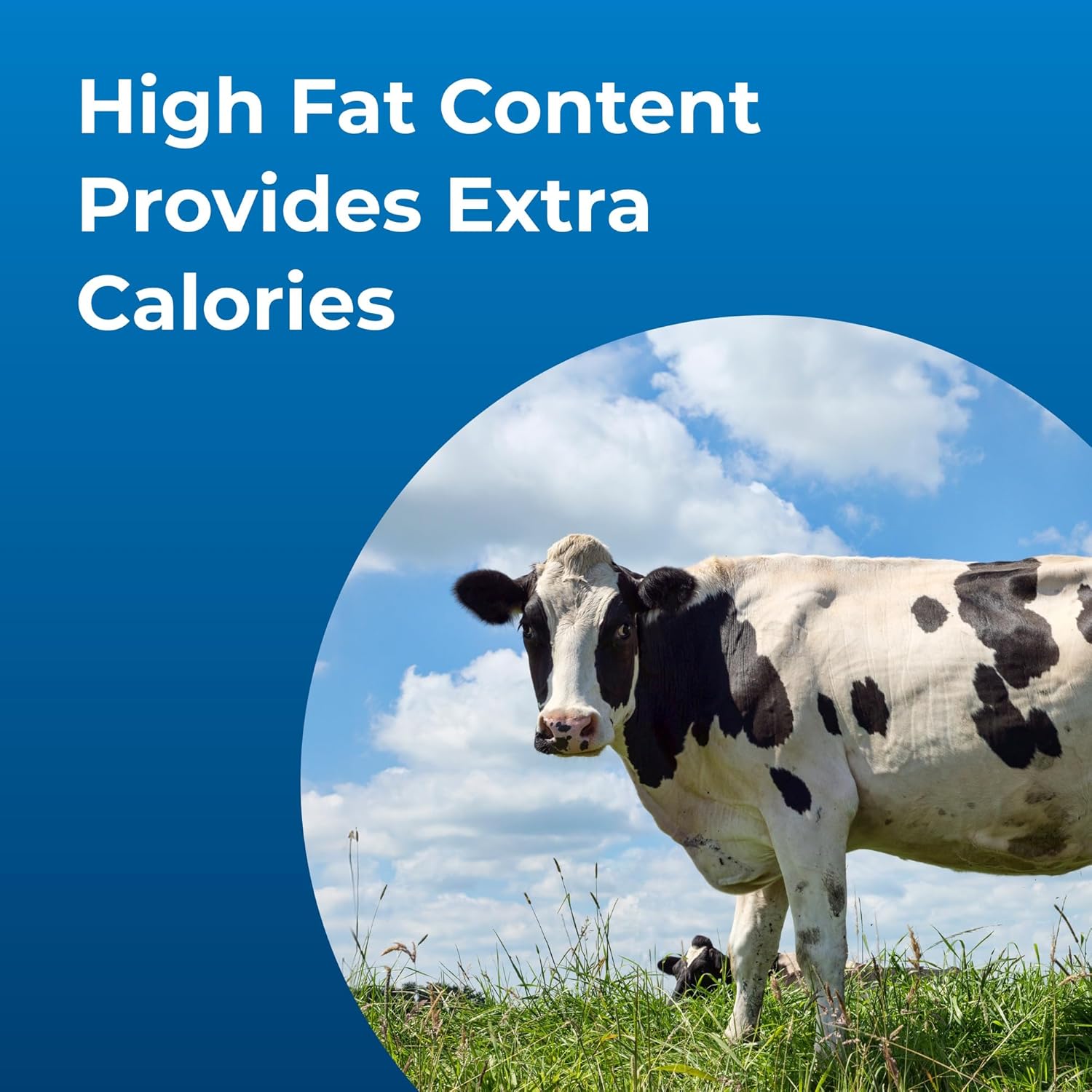 PetA Dyn Hig Calori Liqui Nutritiona Supplemen fo Livestoc  Gallo Include Adde Vitamin Excellen fo Underweight Stressed o Recoverin Animals