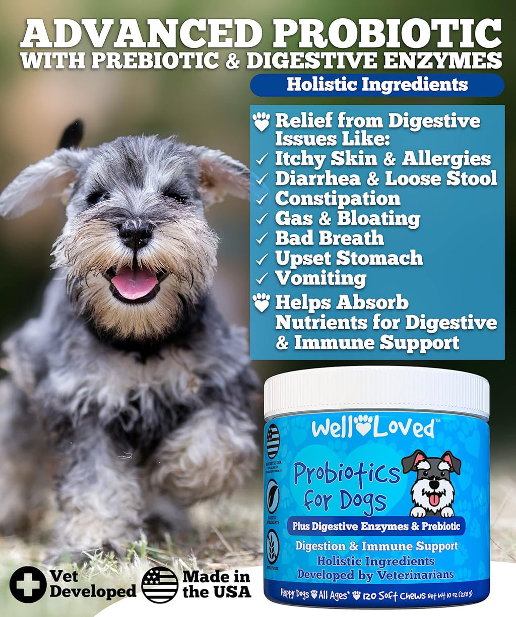 Probiotic fo Dogs Do Probiotics Mad i USA Ve Develope fo Gu Health Yeas Balance Itch Skin Diarrhe Ga Relief Chew wit Prebioti Digestiv Enzymes Digestiv Support