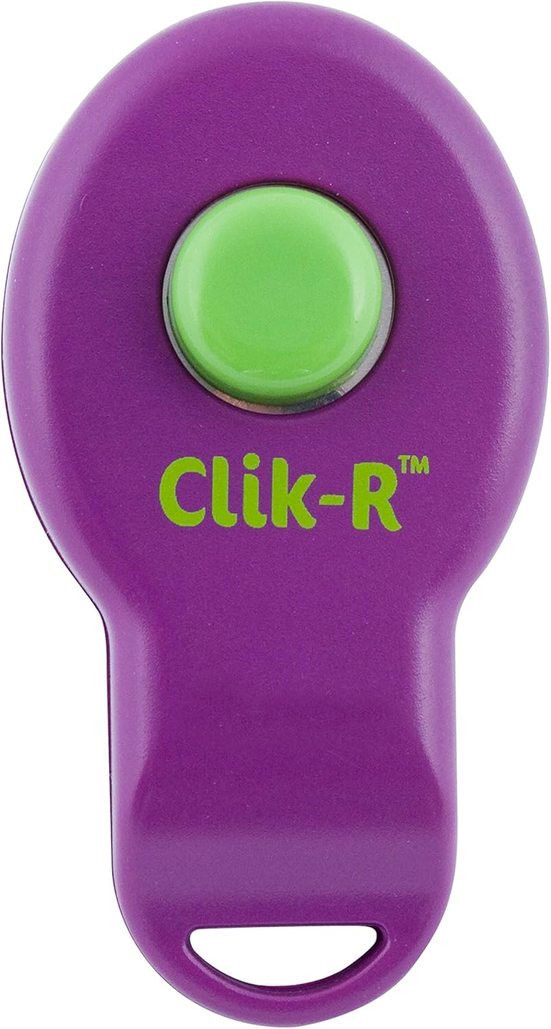 PetSafe Clik-R Training Tool - Positive Behavior Reinforcement - Ergonomic Design - Compact Finger Band - Daily Training Accessory - Clicker for Dogs Cats - Purple