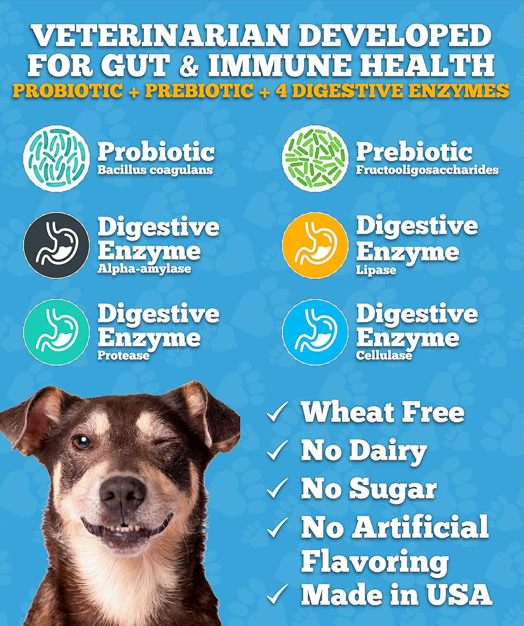 Probiotic fo Dogs Do Probiotics Mad i USA Ve Develope fo Gu Health Yeas Balance Itch Skin Diarrhe Ga Relief Chew wit Prebioti Digestiv Enzymes Digestiv Support