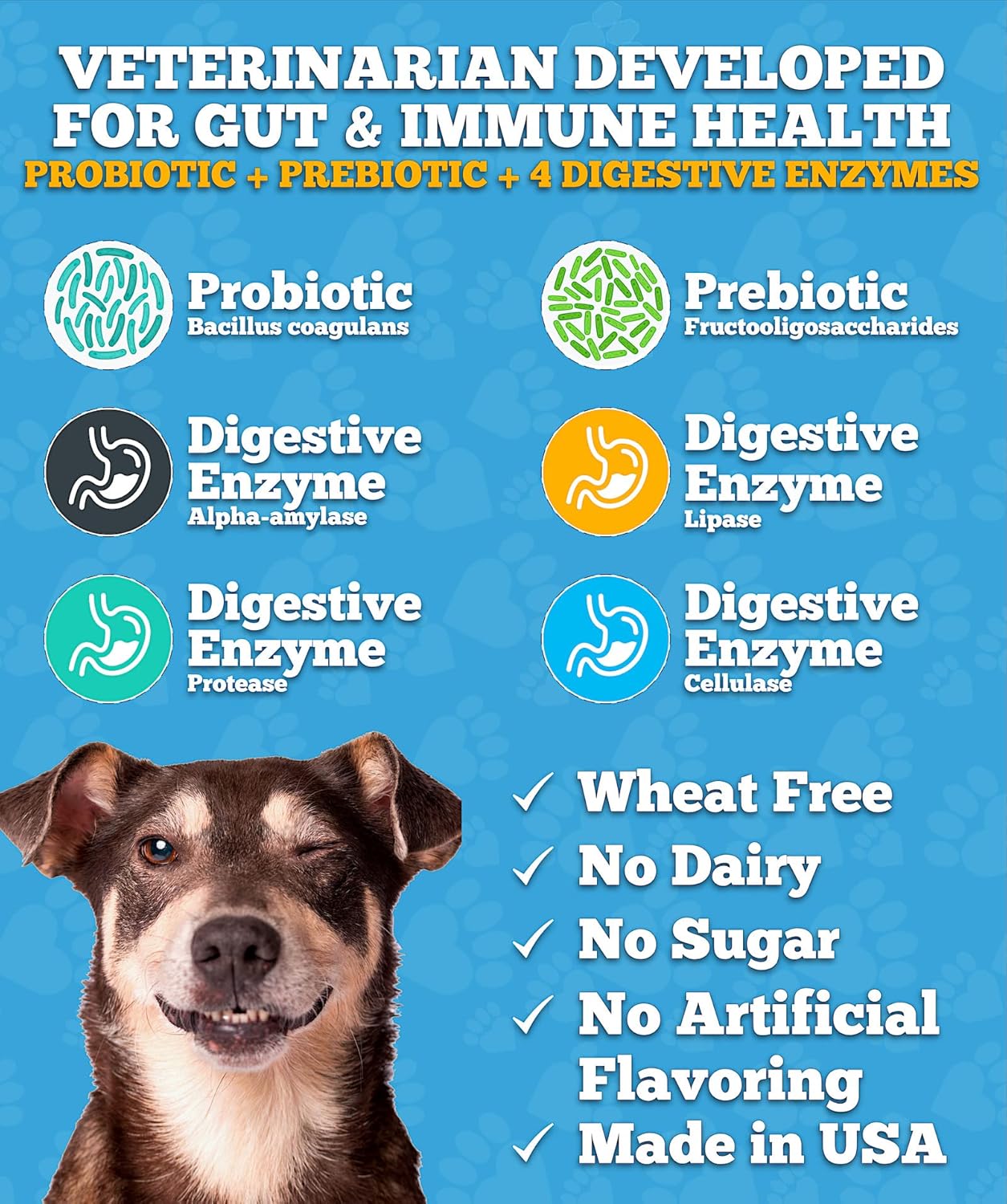 Probiotic fo Dogs Do Probiotics Mad i USA Ve Develope fo Gu Health Yeas Balance Itch Skin Diarrhe Ga Relief Chew wit Prebioti Digestiv Enzymes Digestiv Support