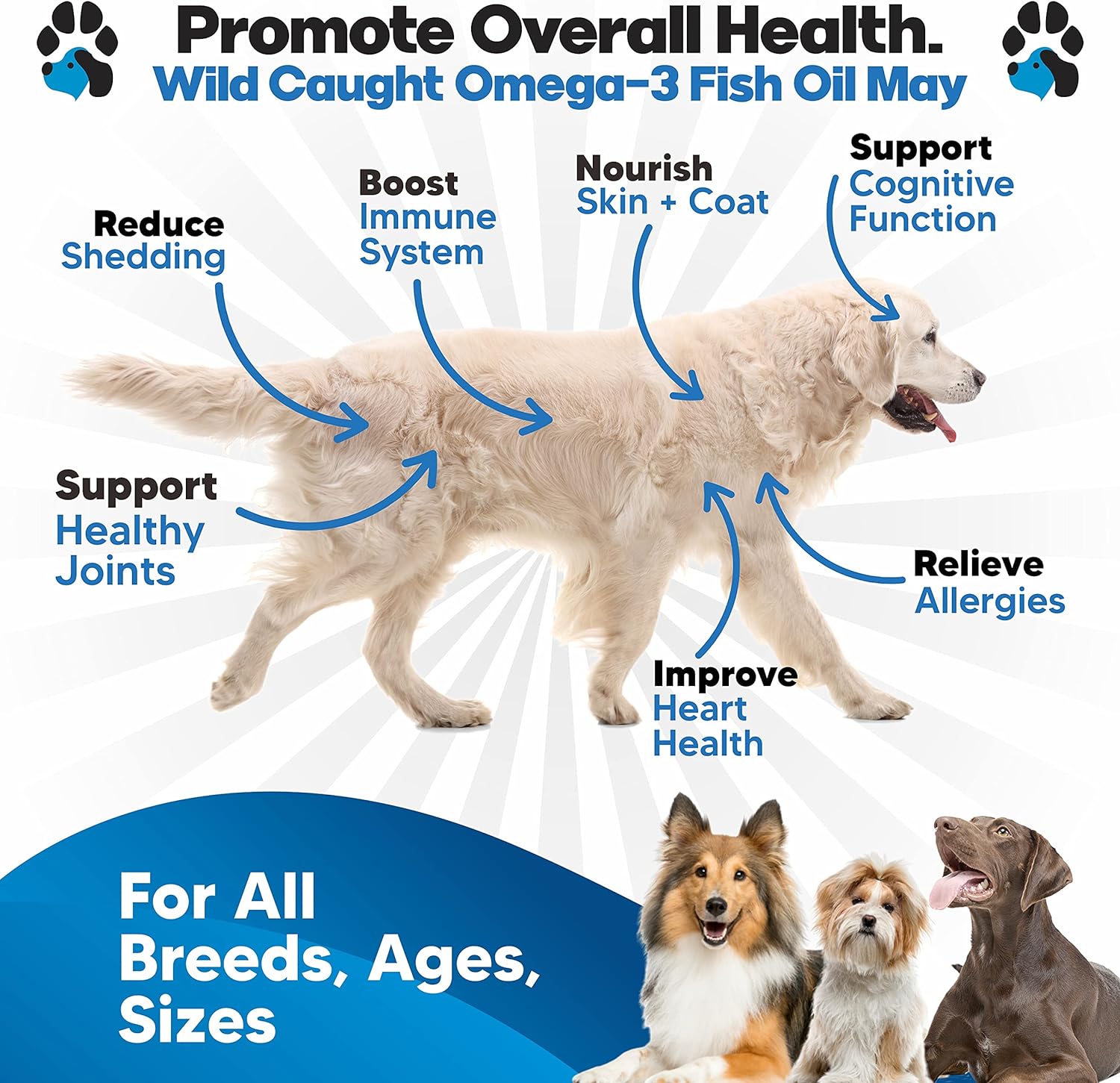 Omeg Fis Oi fo Dog Bette Tha Salmo Oi Do Fis Oi Supplemen t Reduc Sheddin Itchin Support Joints Brain an Hear Healt Ski an Coa Supplemen Liqui Fis Oil