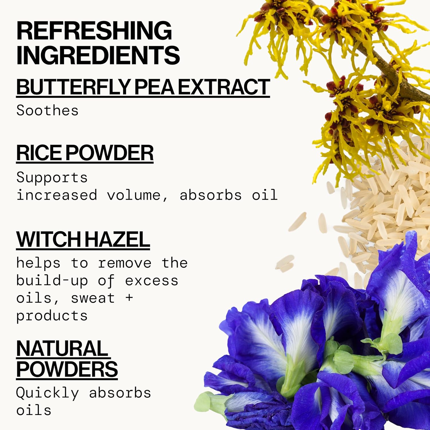 Pacifica Dry Shampoo Powder - Best Day Ever Waterless Shampoo & Instant Volumizer - adds Texture, Refreshes & Absorbs Oil, Non-Aerosol for Women of All Hair Types Natural & Vegan Dermatologist Tested