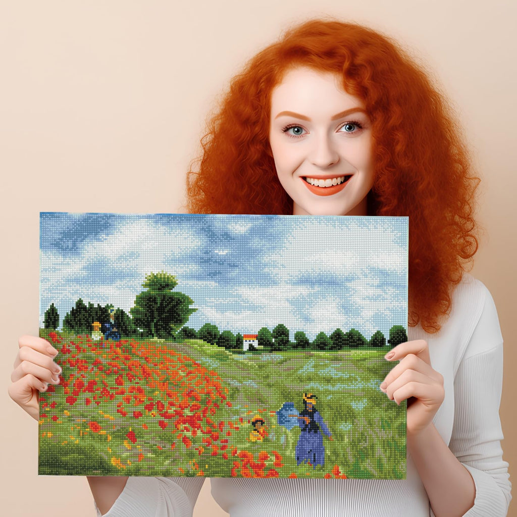 DIAMON DOT Popp Field (apr? Monet Diamon Paintin Kit fo Adult Diamon Ar Kit Relaxin Creativ Craf Ki wit Dot Gem 22x16