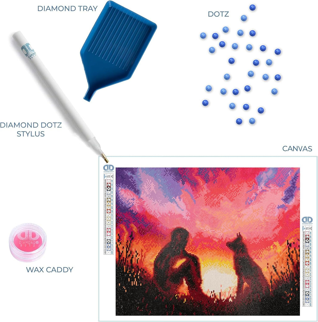 DIAMON DOT a Hom Bes Friend Diamon Paintin Kit fo Adult Diamon Ar Kit Relaxin Creativ Craf Ki wit Dot Gem 20x16
