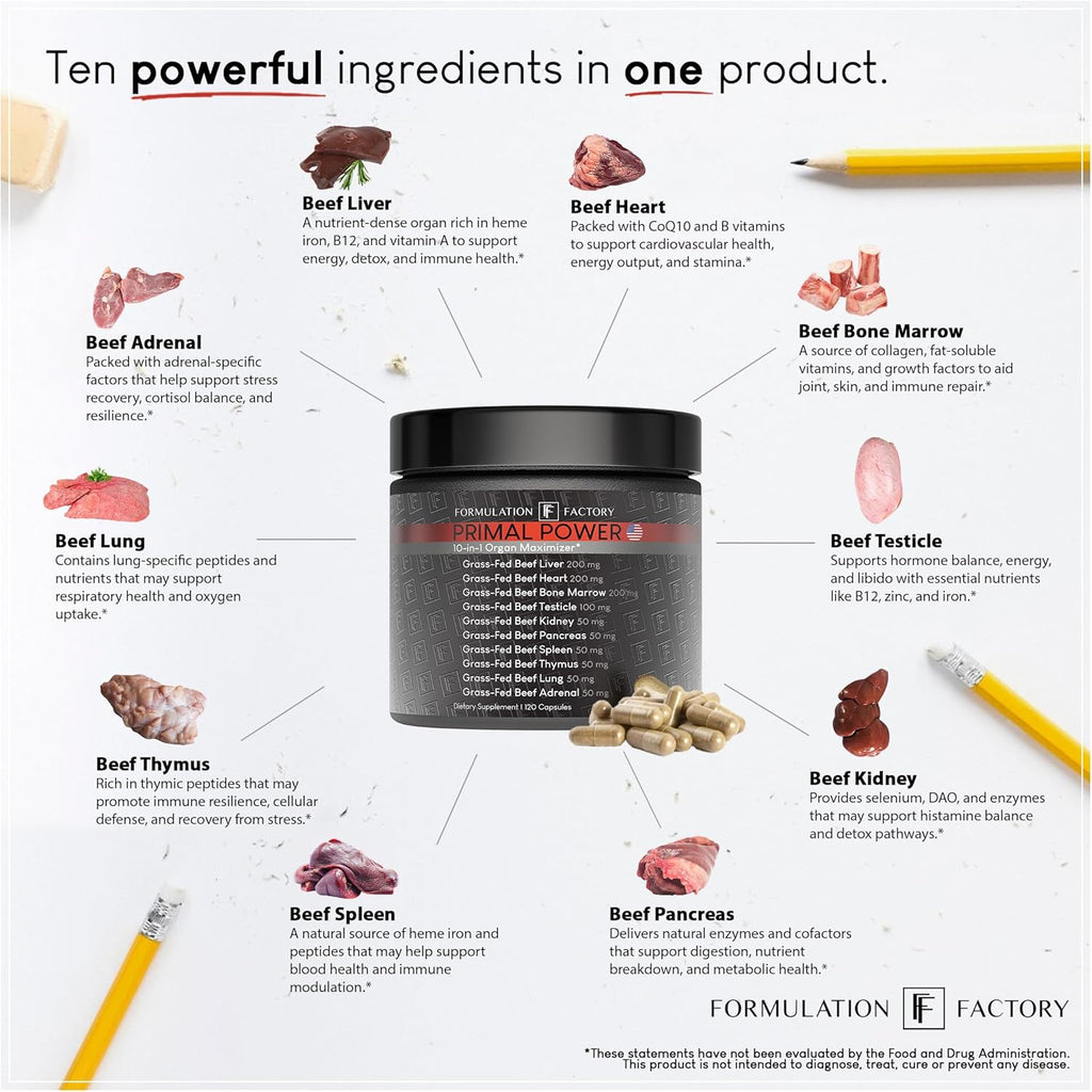 Formulation Factory Primal Power 10-in-1 Grass-Fed Organ Supplement with Beef Liver, Heart, Marrow, Testicle, Kidney, Supports Vitality, Hormones, Energy, Immunity (6 Month Supply, 360 Capsules)