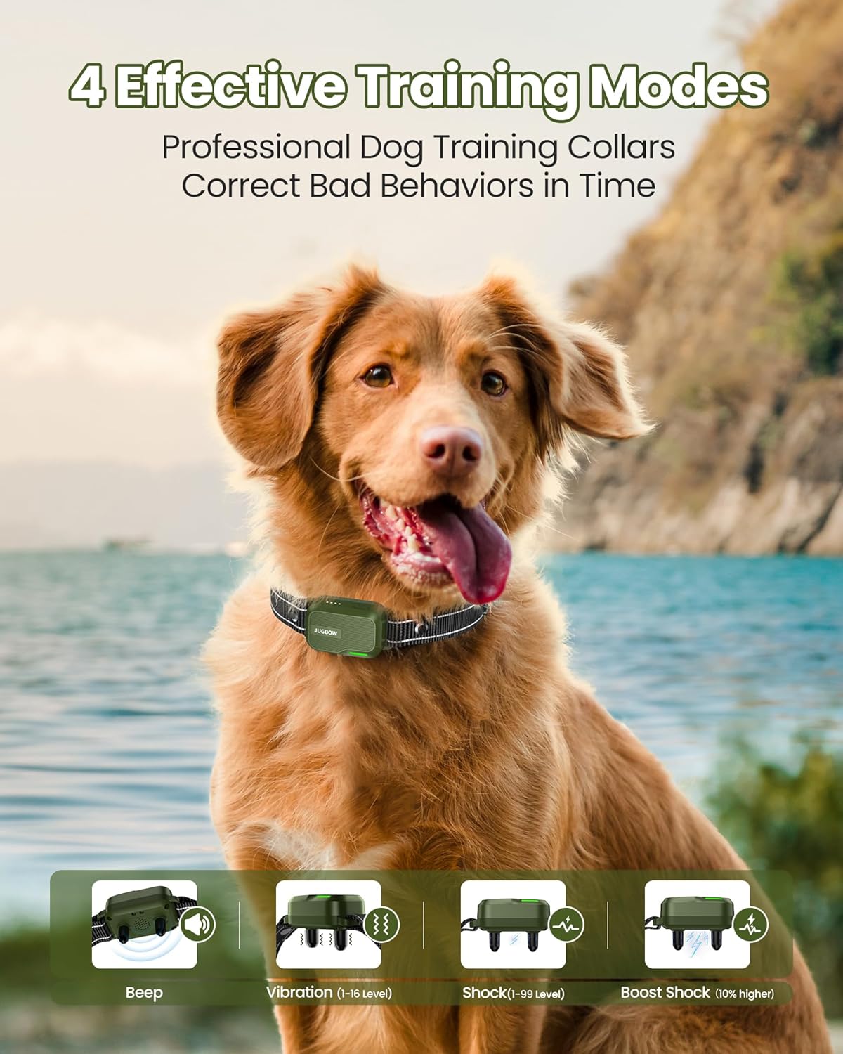 Jugbow Dog Shock Collar 2 Dogs (10-120Lbs) - 4200FT Dog Training Collar with Remote IPX7 Waterproof Electric Collar with 4 Training Modes, Security Lock, Rechargeable e-Collar for All Breeds, Sizes