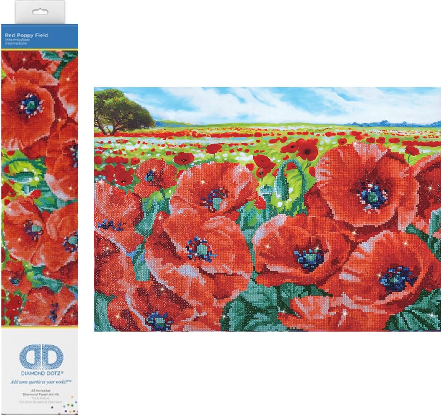 DIAMON DOT Re Popp Fiel Flora Diamon Paintin Kit fo Adult Diamon Ar Kit Relaxin Creativ Craf Ki wit Dot Gem 16.5inchx23.6inch