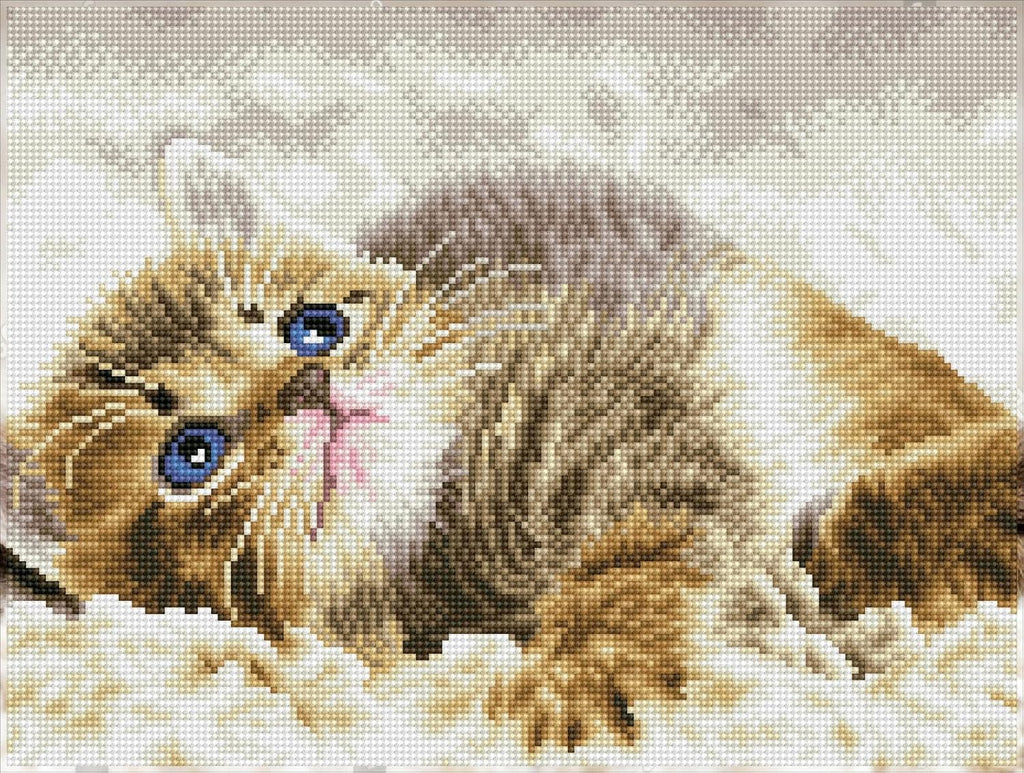 DIAMON DOT Bab Pi Pre-Frame Ki Ca Diamon Paintin Kit fo Adult Diamon Ar Kit Relaxin Creativ Craf Ki wit Dot Gem 16inchx12inch