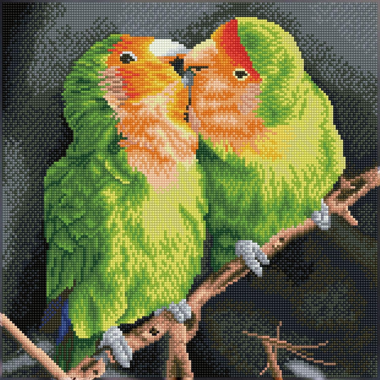 DIAMON DOT Nic an Luc Pre-Frame Ki Bird Diamon Paintin Kit fo Adult Diamon Ar Kit Relaxin Creativ Craf Ki wit Dot Gem 16inchx16inch