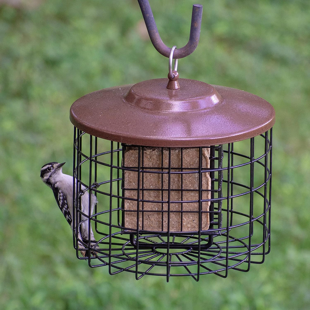 Mor Bird Bir Feeder Doubl Cage