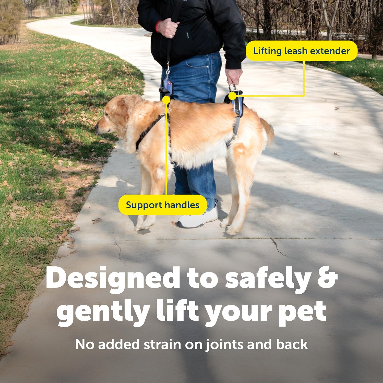 PetSafe CareLift Support Harness - Lifting Aid for Senior or Injured Dogs - Breathable Mesh - Machine Washable - Post-Surgery Dog Support - Large