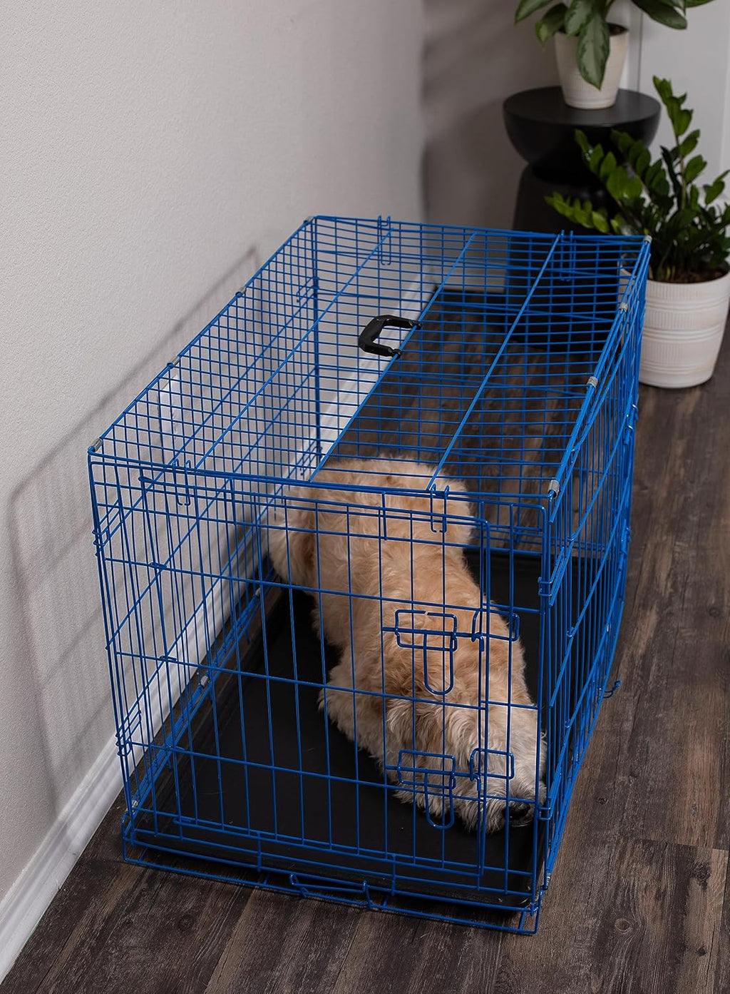 Internet's Best Wire Dog Kennel | Medium (36 Inches) | Double Door Metal Steel Crates | Indoor Outdoor Pet Home | Folding and Collapsible Cage | Blue