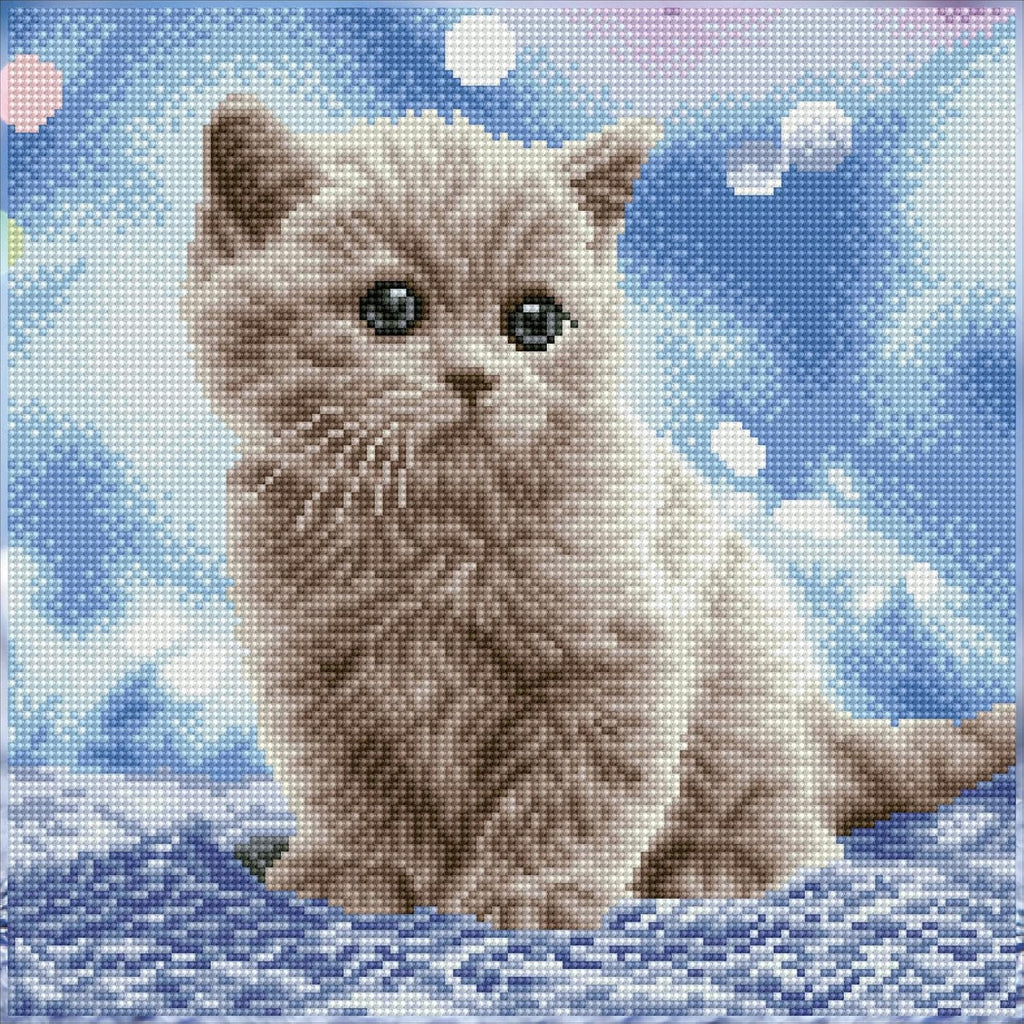 DIAMON DOT Bubble Pre-Frame Ki Ca Diamon Paintin Kit fo Adult Diamon Ar Kit Relaxin Creativ Craf Ki wit Dot Gem 13.5inchx13.5inch