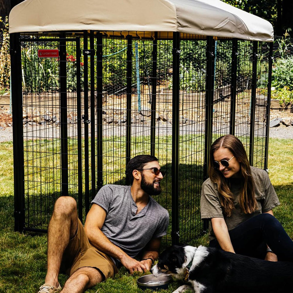 Lucky Dog Stay Series 4 x 8 Feet Villa Black Powder Coat Steel Frame Large Outdoor Dog Kennel with Waterproof Canopy Roof and Single Gate Door, Khaki