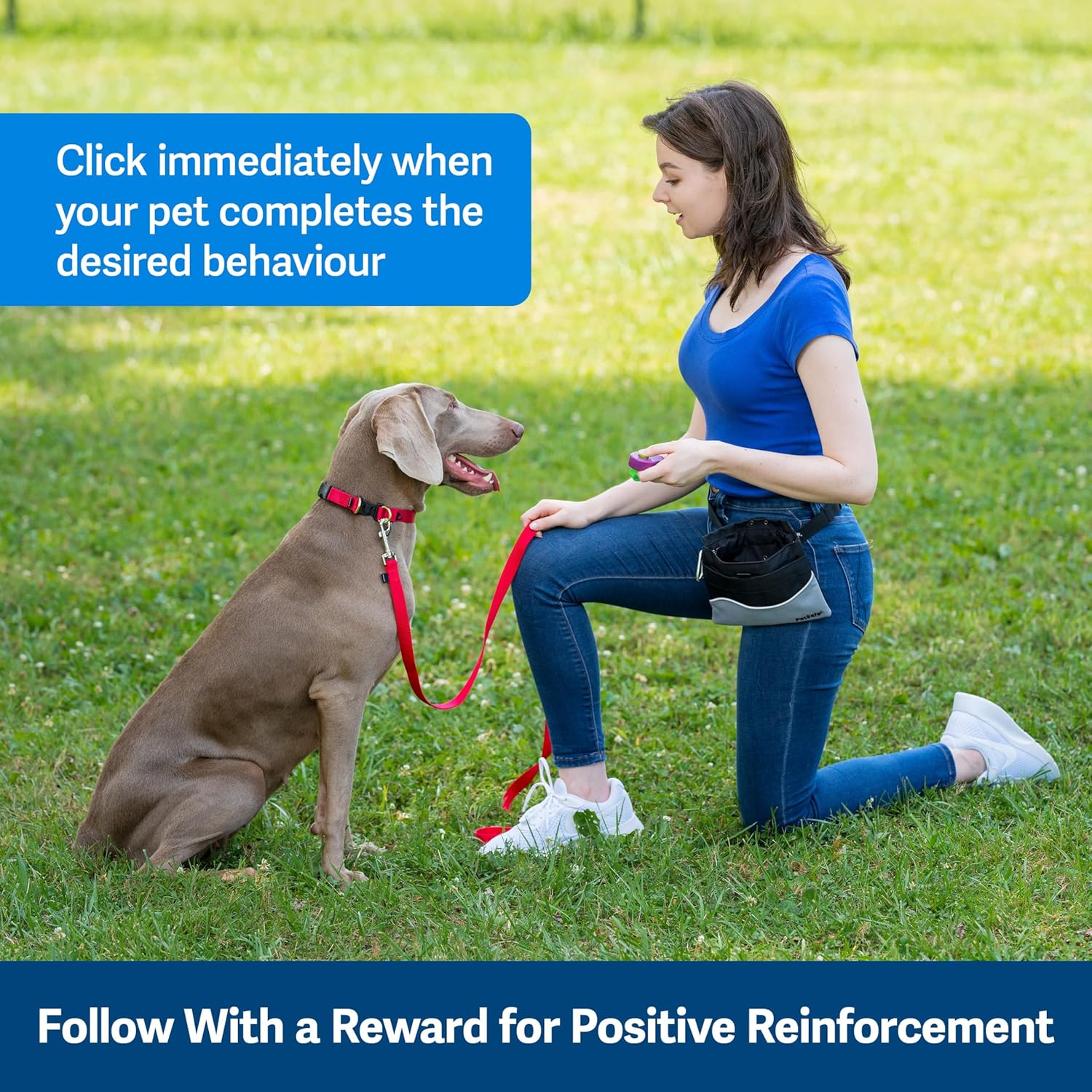 PetSafe Clik-R Training Tool - Positive Behavior Reinforcement - Ergonomic Design - Compact Finger Band - Daily Training Accessory - Clicker for Dogs Cats - Purple
