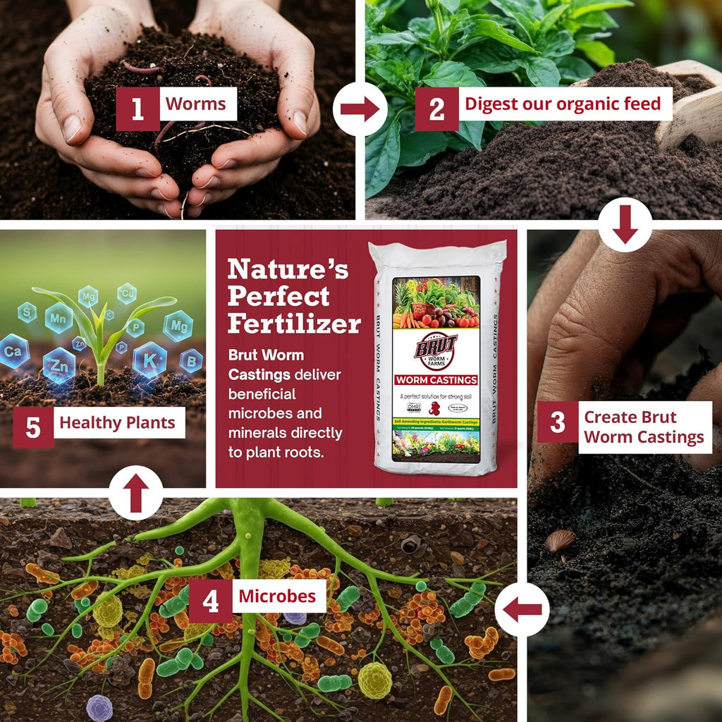Brut Organic Worm Castings for Plants 30 LB ¨C Natural Nutrients, Fertility Builder, Plant Food for Potting Soil and Garden Soil ¨C Indoor and Outdoor Use