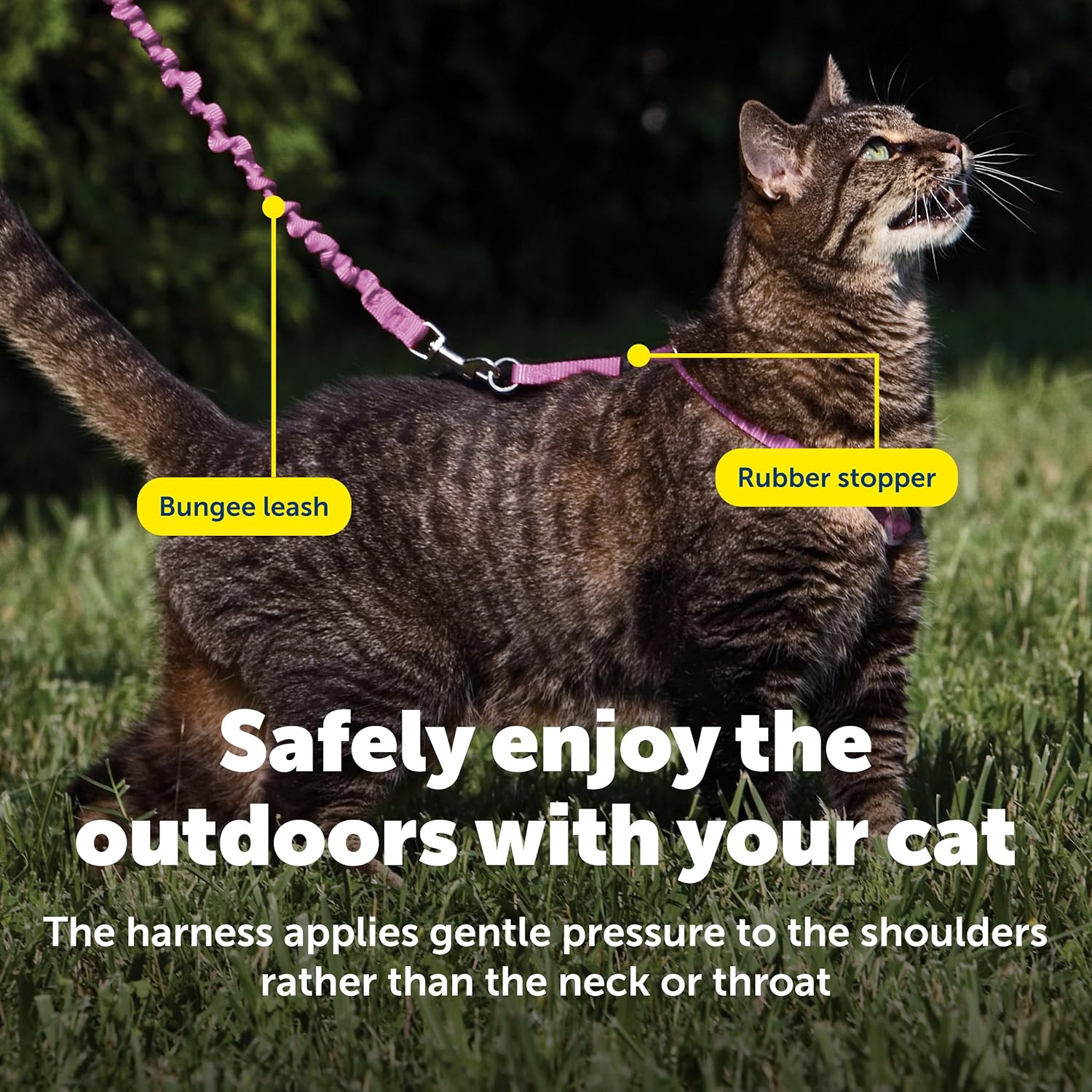 PetSafe Come with Me Kitty Cat Harness Bungee Leash - Comfortable No-Choke Harness with Lightweight Bungee Leash for Outdoor Fun - Escape Free Pulling Prevention - Large - Dusty Rose