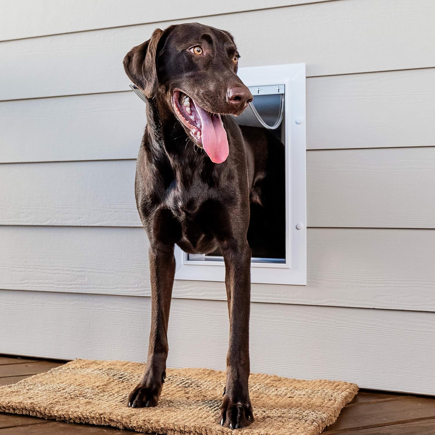 PetSafe Wall Entry Pet Door - Rust-Free Telescoping Frame - Easy Install for Interior Exterior Walls 4 3/4inch - 7inch Thick - Large - for Pets Up to 100 Lb