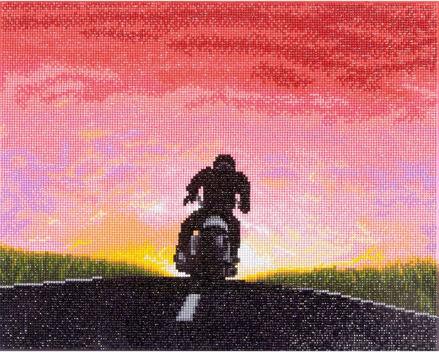 DIAMON DOT a Hom M Tim M Motorcycle Ful Drill Roun Dotz Diamon Paintin Kits Diamon Ar Kit fo Adults Motorcycl Diamon Art Diamon Art 20inchx16inch